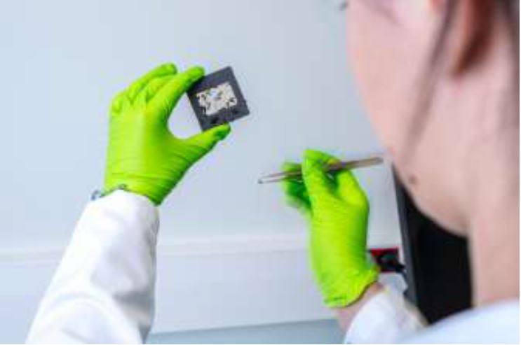 Carbiolice reçoit le label GreenTech Innovation
