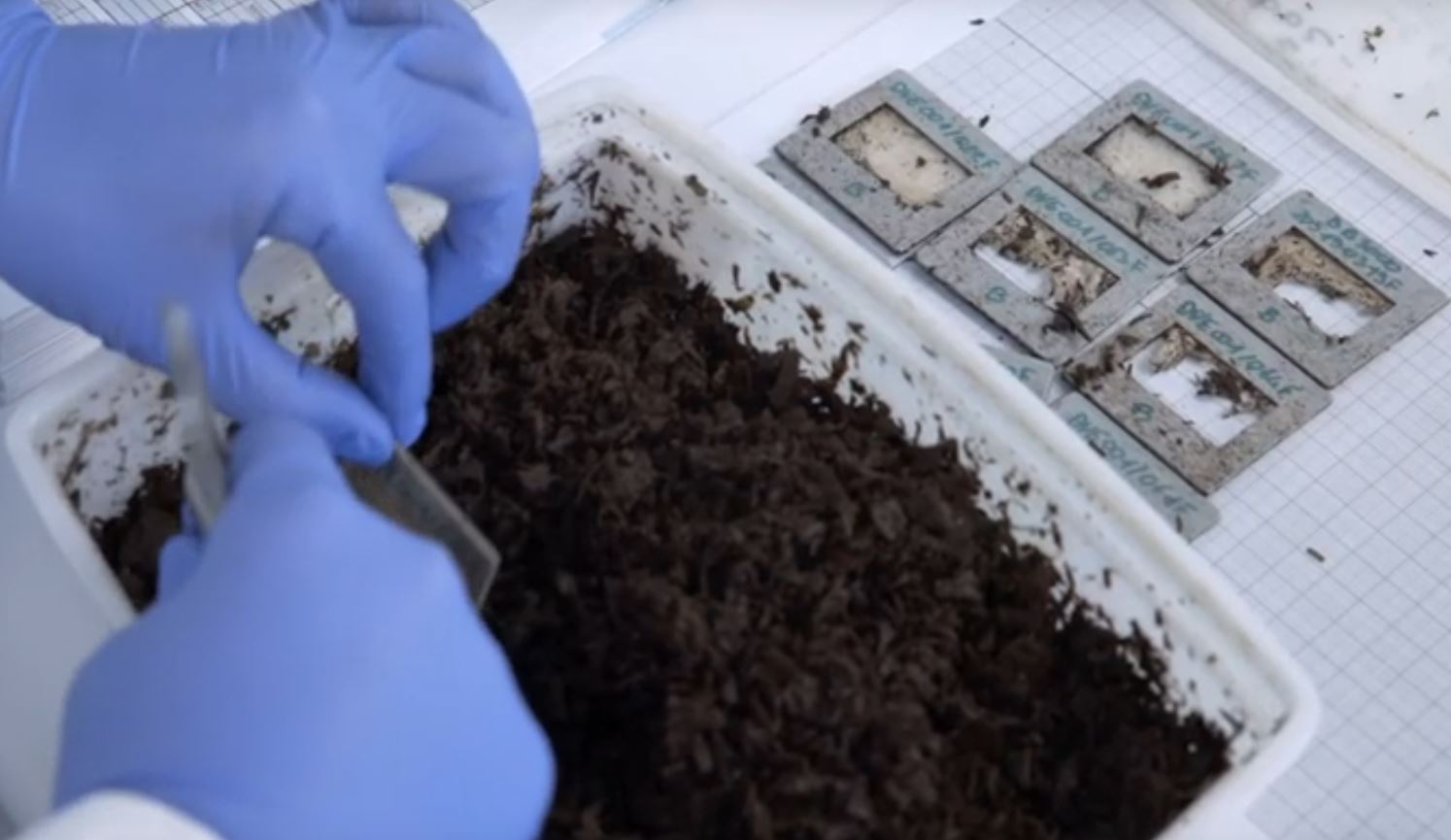 Carbiolice rend le plastique d’origine végétale compostable à domicile