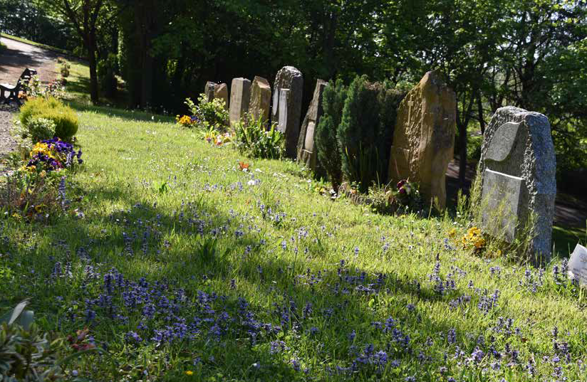 Le cimetière jardin de Villefranche Beaujolais Saône gagnant des Trophées Paysagistes pour l’Environnement
