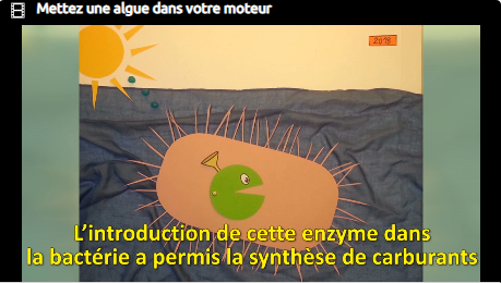Bioénergie : des bactéries modifiées pour produire des hydrocarbures volatils