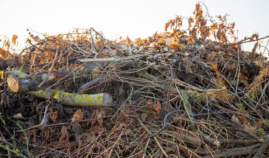 Waste2Grids : une production d’énergie flexible à partir de biomasse