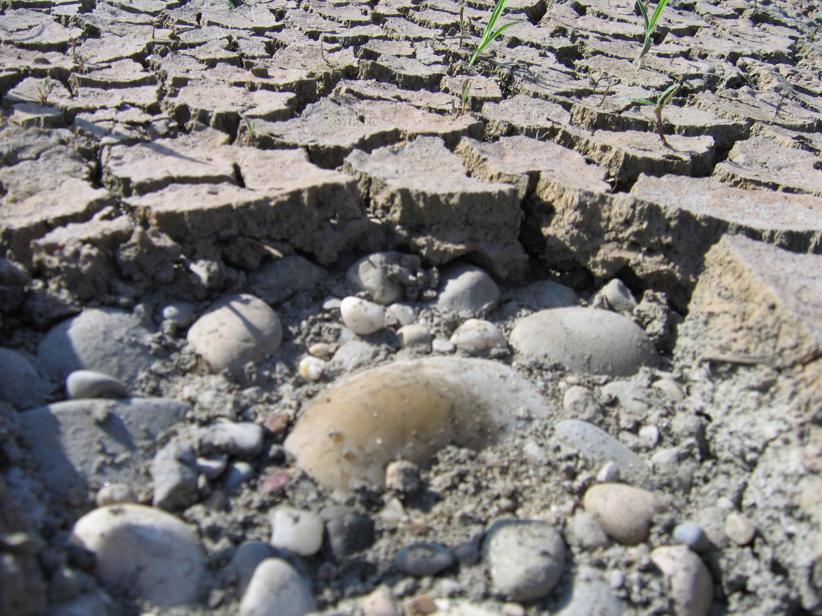 Desir : un programme de recherche à Lyon pour mieux valoriser les sédiments de curage des bassins d’eaux pluviales