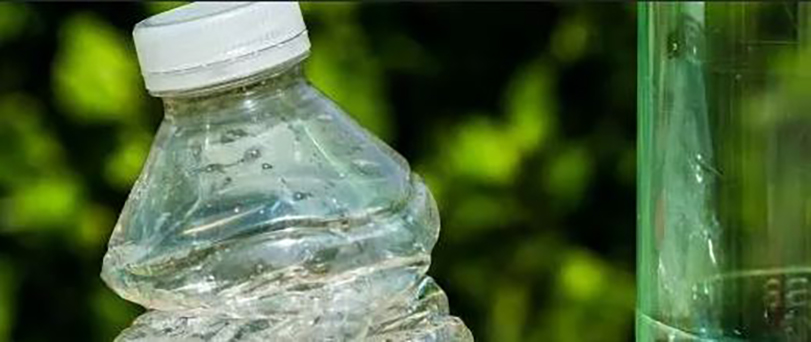 Bouteilles en plastique : un PET biosourcé à base de pin