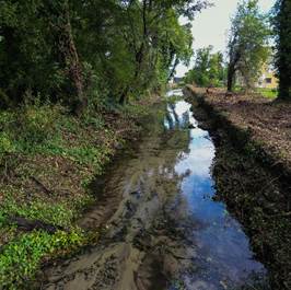 La ruisseau de la Mouche, dont les rives avaient été rendues rectilignes ( photo E Soudan)
