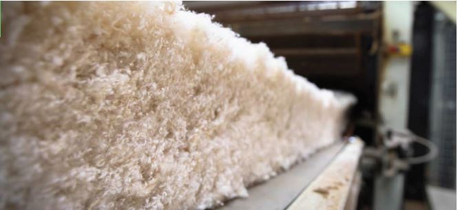 Isonat va doubler sa capacité de production d’isolants biosourcés à Mably