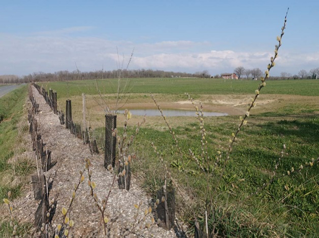 Un nouvel appel à projets de 10 millions d’euros en faveur de la biodiversité