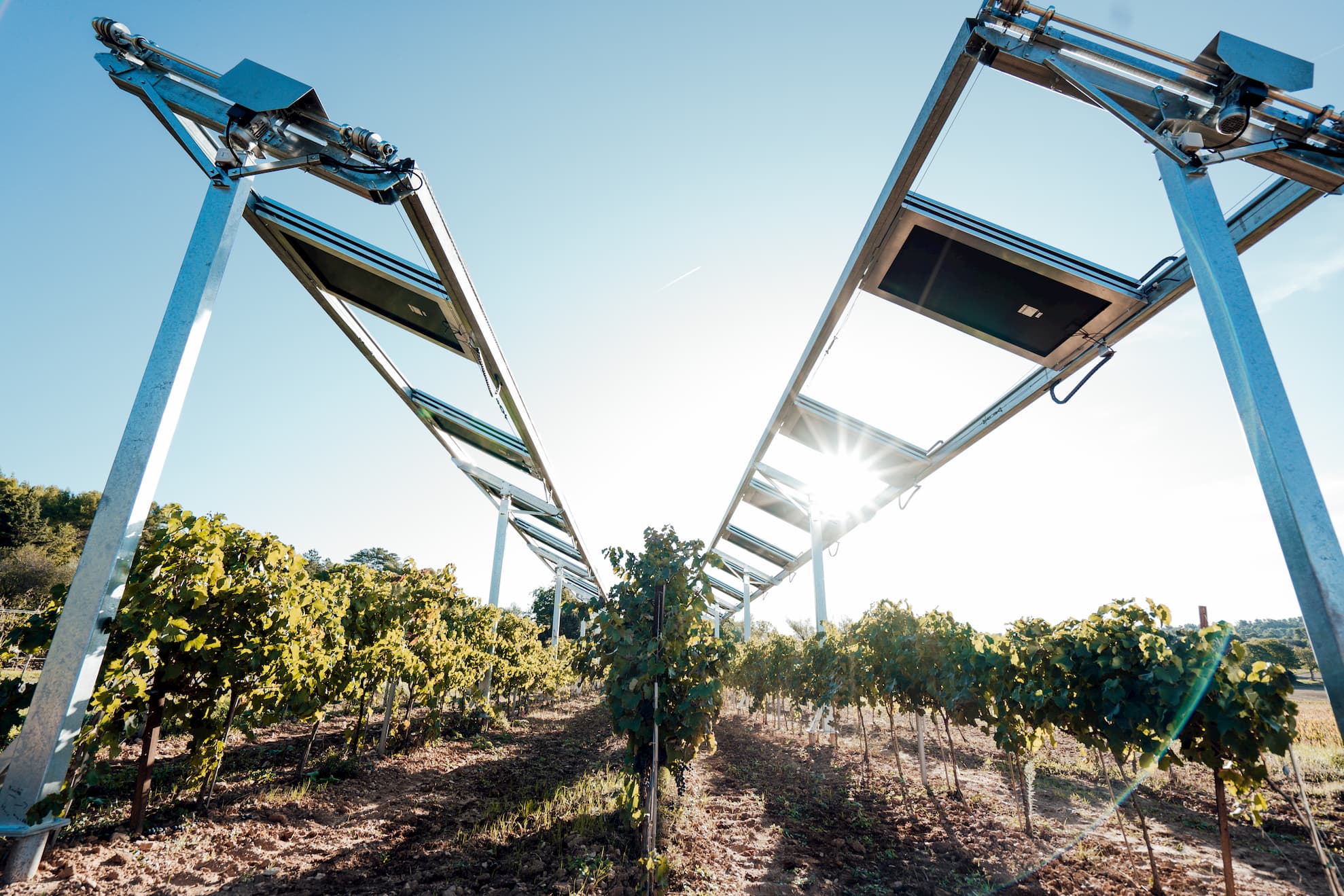 Agrivoltaïsme : la CRE valide 6 projets de Total Quadran et Ombrea