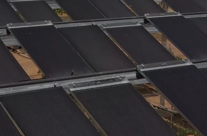 Ombrea et RES se rapprochent pour porter des projets agrivoltaïques
