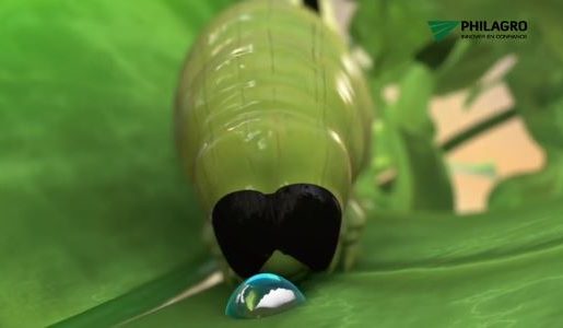 Philagro célèbre les 50 ans de son insectide biologique à base de bacille de Thuringe