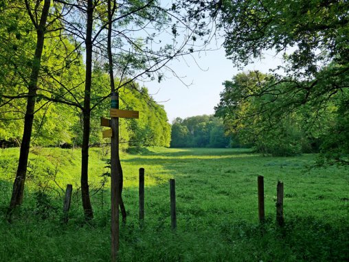 Les vallons de l’ouest lyonnais : un nouveau site classé dans le Rhône