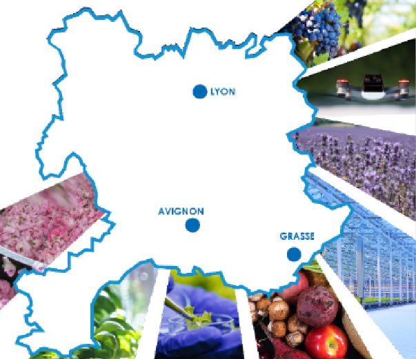 Nouvelles ambitions pour le pôle Terralia-Pass, sous le nom d’Innov’Alliance