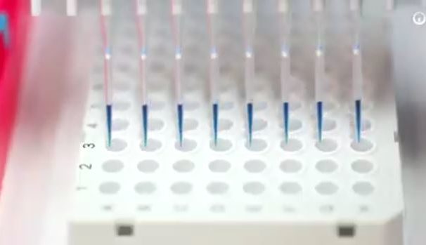 A Givors, la présence du virus détectée dans les eaux usées