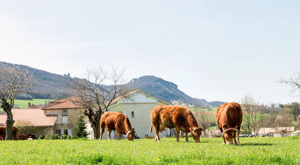Paiements pour services environnementaux : Valence Romans Agglo se lance