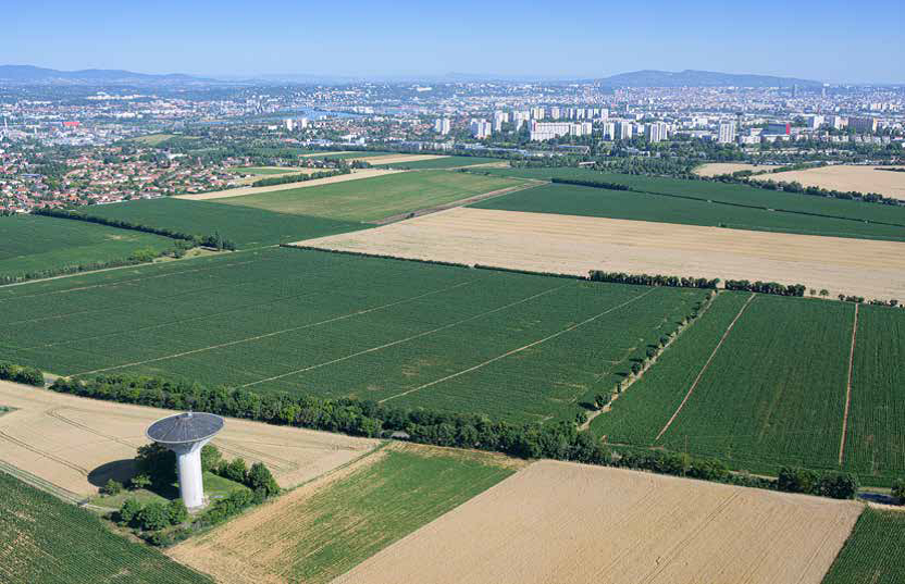 La Métropole de Lyon sanctuarise ses terres agricoles
